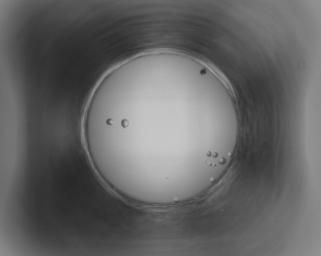 X0000102410813200808011015