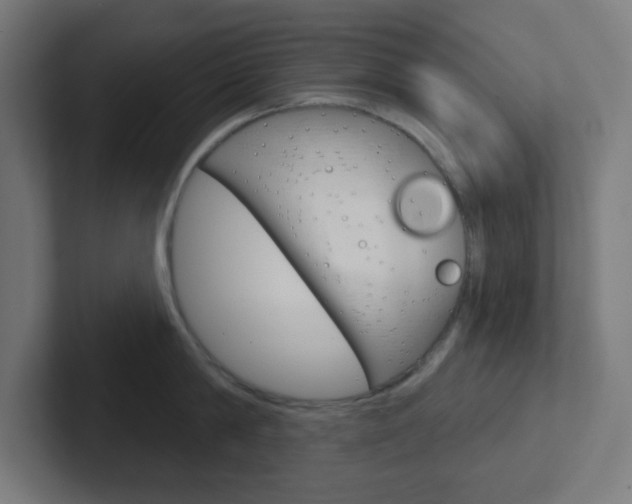 X0000102410814200808011015