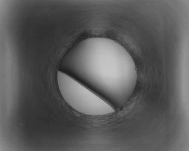 X0000102410817200808011014