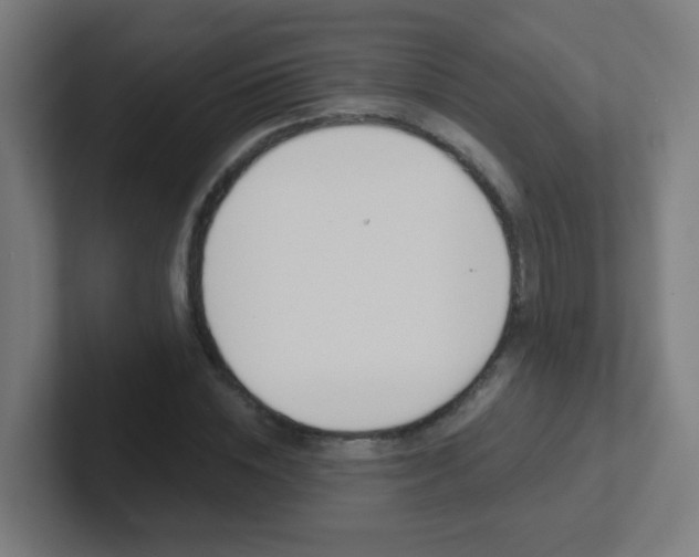X0000102410828200808011014