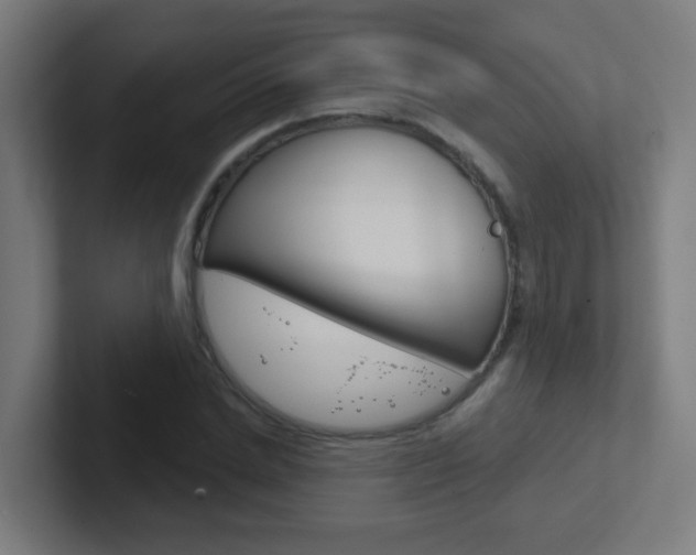 X0000102410830200808011014