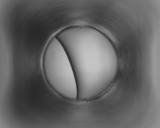 X0000102410839200808011014