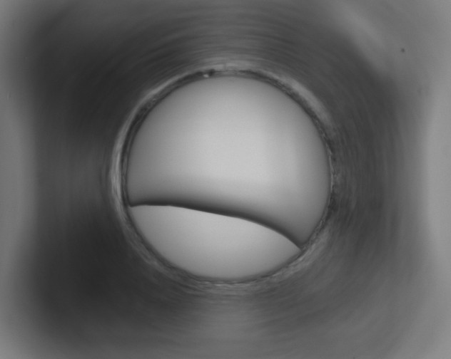 X0000102410840200808011014