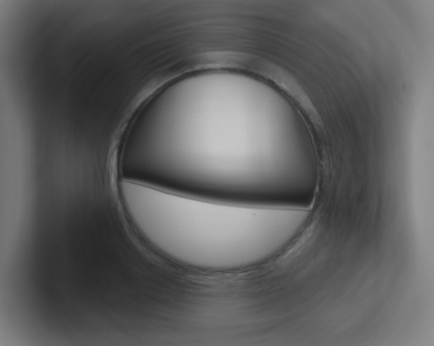 X0000102410842200808011014