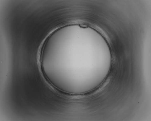 X0000102410843200808011014