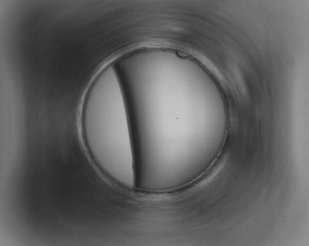 X0000102410845200808011014