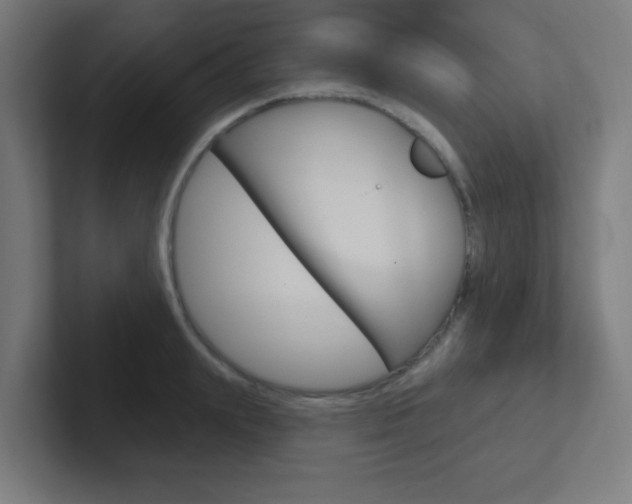 X0000102410847200808011014