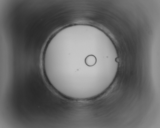 X0000102410848200808011015