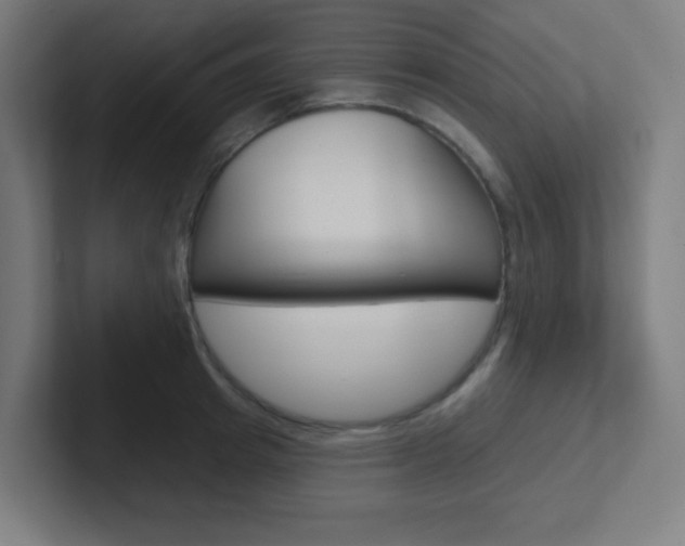 X0000102410849200808011015