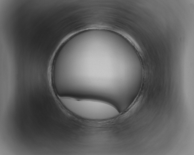 X0000102410854200808011015