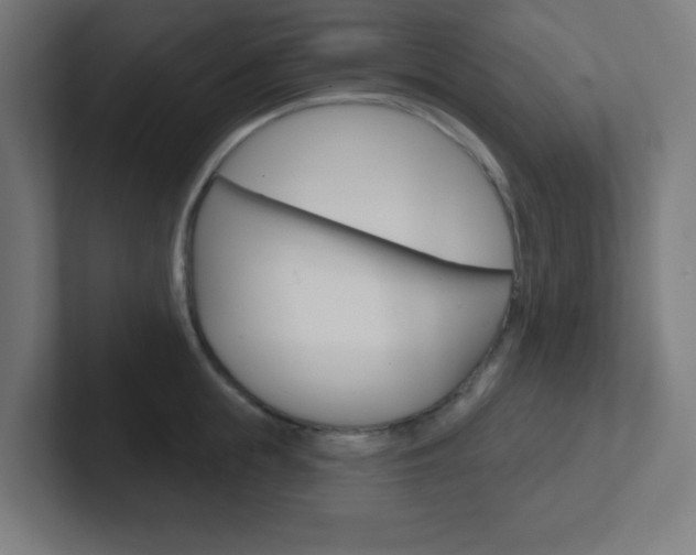 X0000102410855200808011015