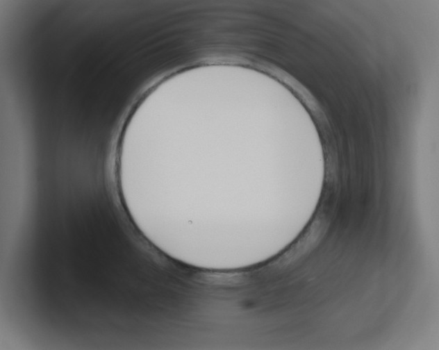 X0000102410856200808011015
