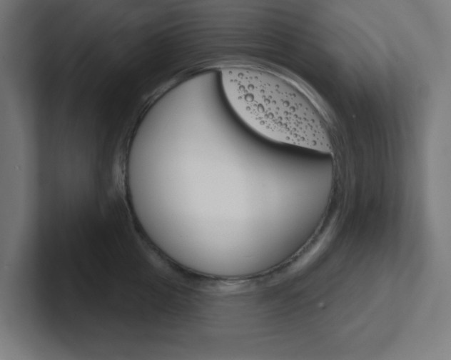 X0000102410857200808011015