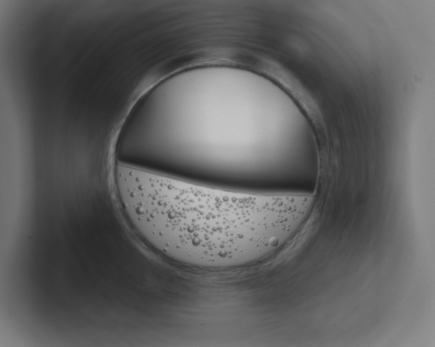 X0000102410858200808011015