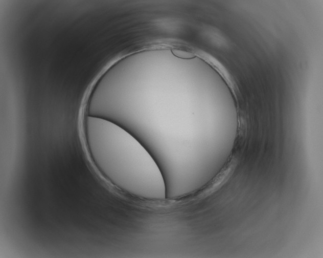 X0000102410859200808011015