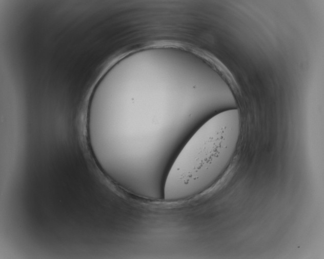 X0000102410860200808011015