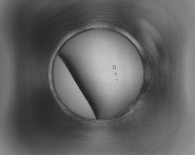 X0000102410861200808011015