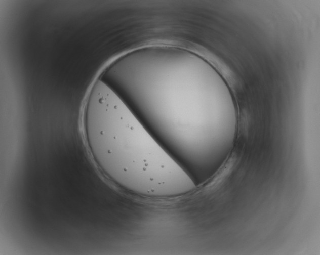 X0000102410862200808011015