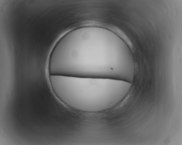 X0000102410863200808011015