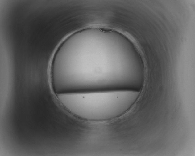 X0000102410864200808011015