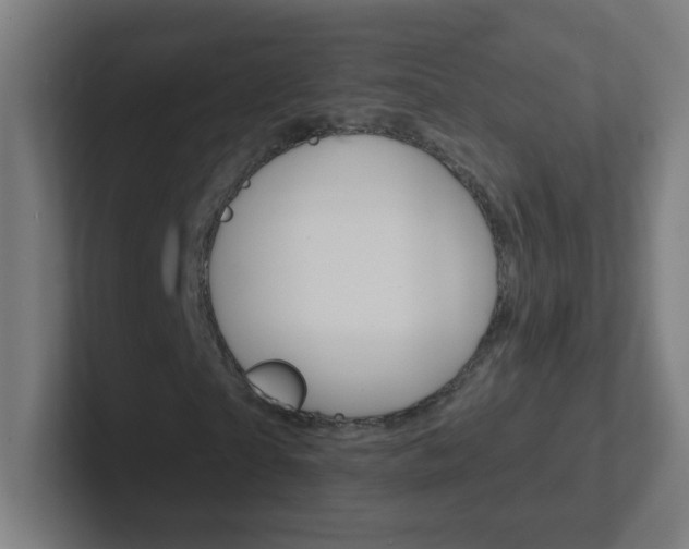 X0000102410865200808011014