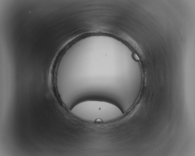 X0000102410876200808011014