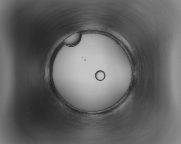 X0000102410877200808011014