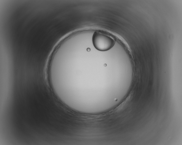 X0000102410879200808011014