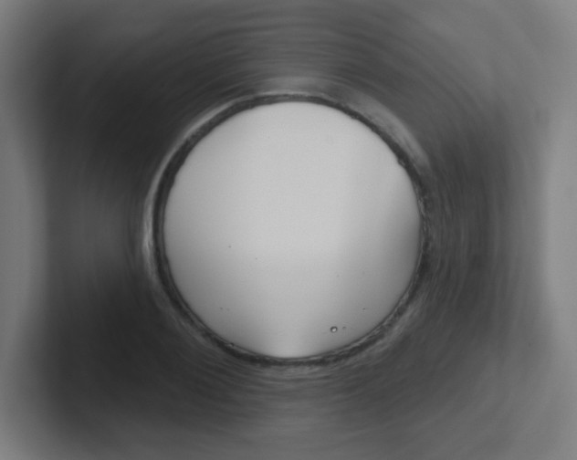 X0000102410884200808011014