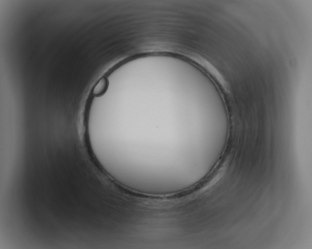 X0000102410885200808011014