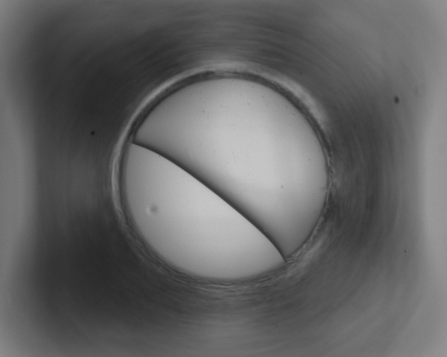 X0000102410887200808011014