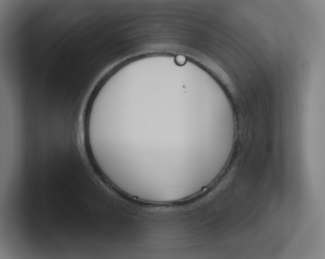 X0000102410888200808011014