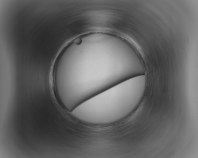 X0000102410891200808011014