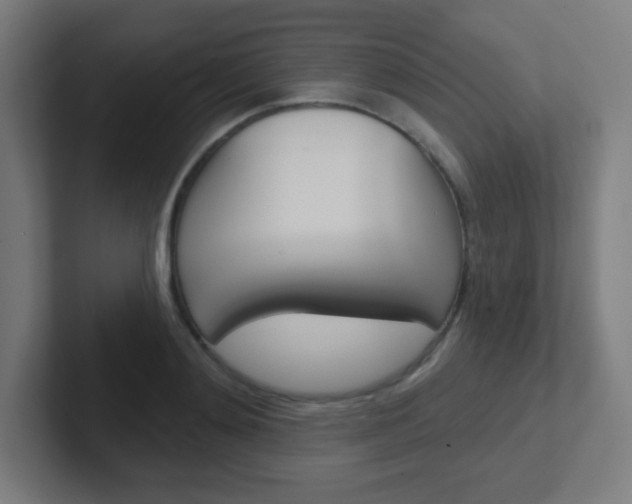 X0000102410892200808011014
