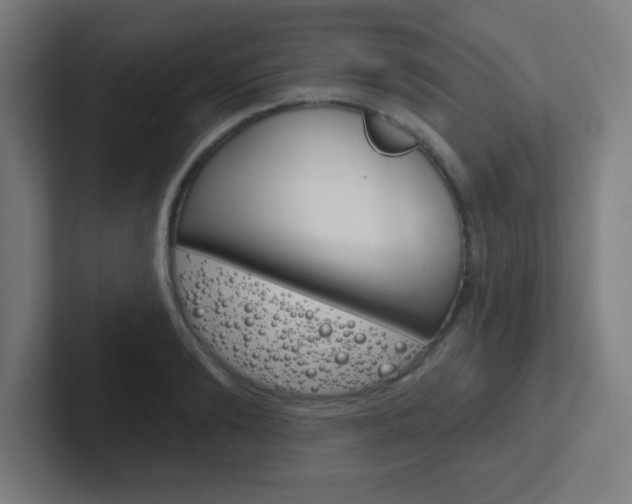 X0000102410894200808011014