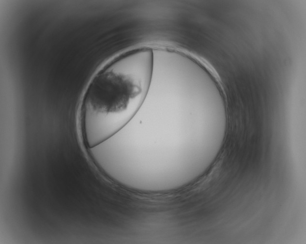 X0000102410895200808011014