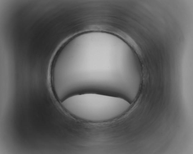 X0000102410896200808011014
