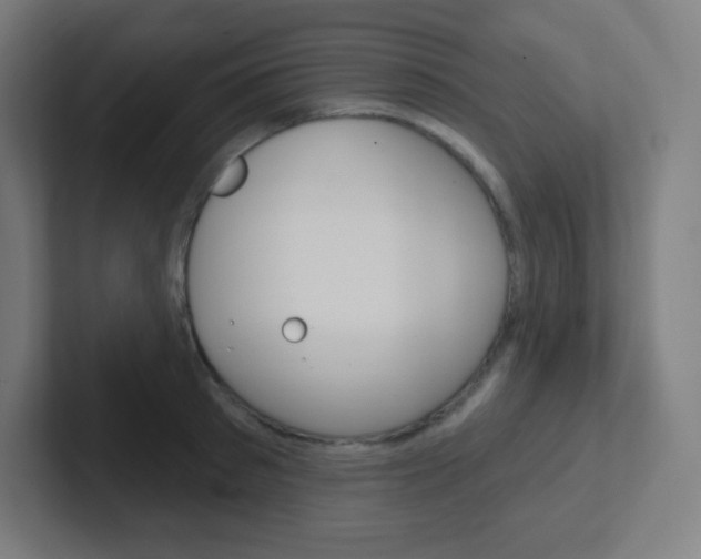 X0000102410897200808011014