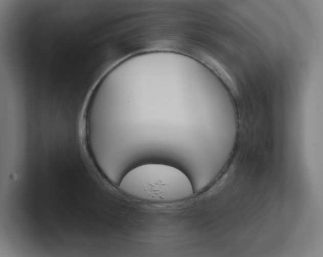 X0000102410900200808011014