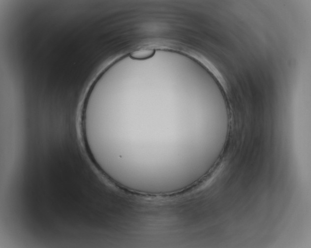 X0000102410901200808011014