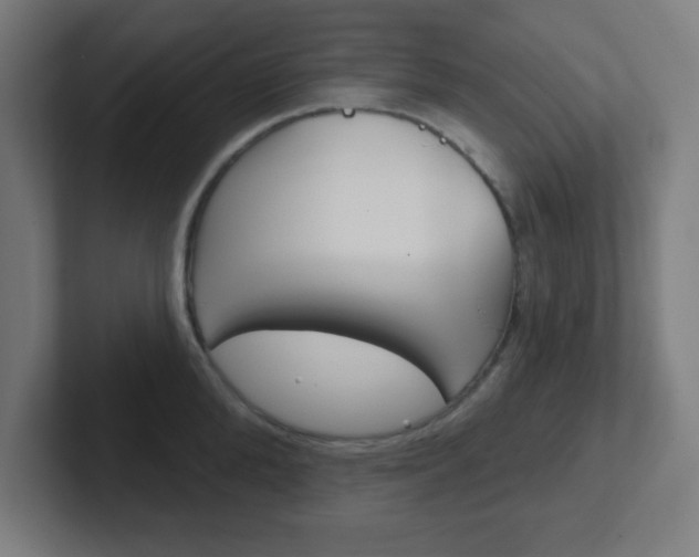 X0000102410904200808011014