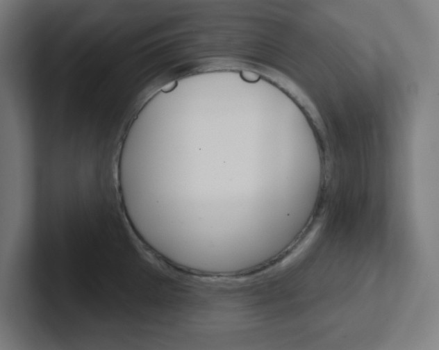X0000102410905200808011014