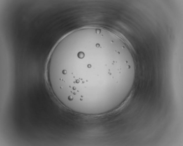X0000102410908200808011013