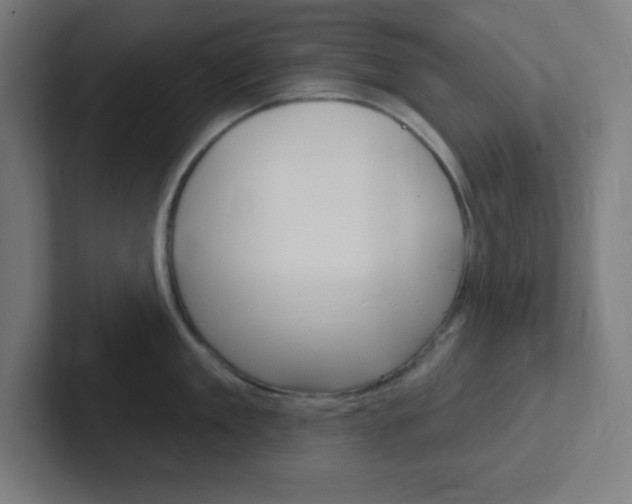 X0000102410909200808011013