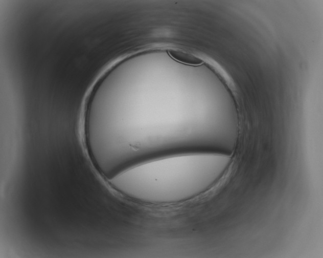 X0000102410910200808011013