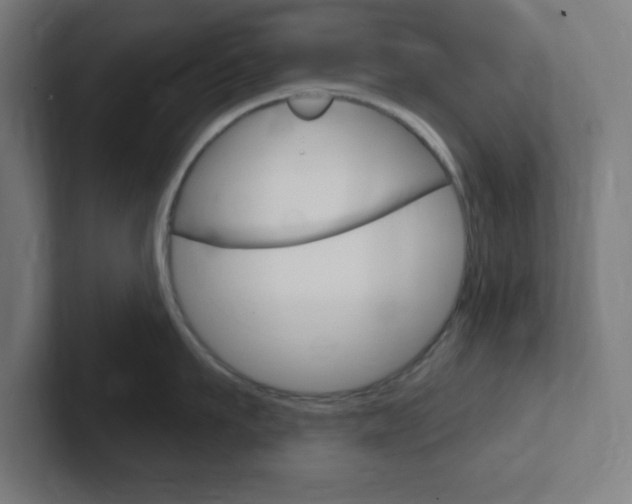 X0000102410911200808011013