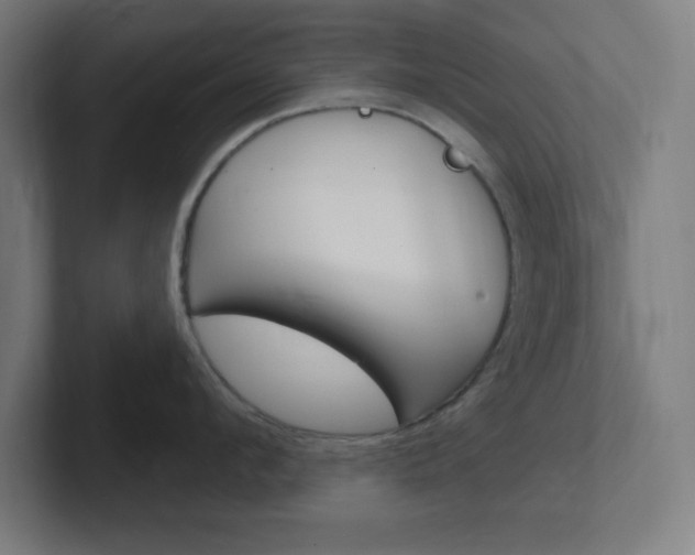 X0000102410912200808011013