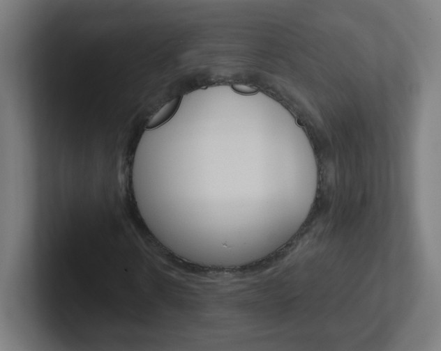X0000102410914200808011013