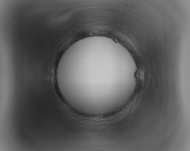X0000102410915200808011013