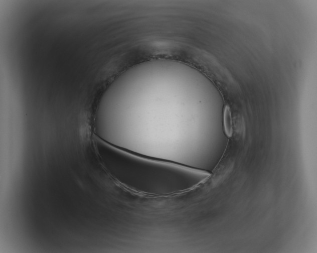 X0000102410916200808011013